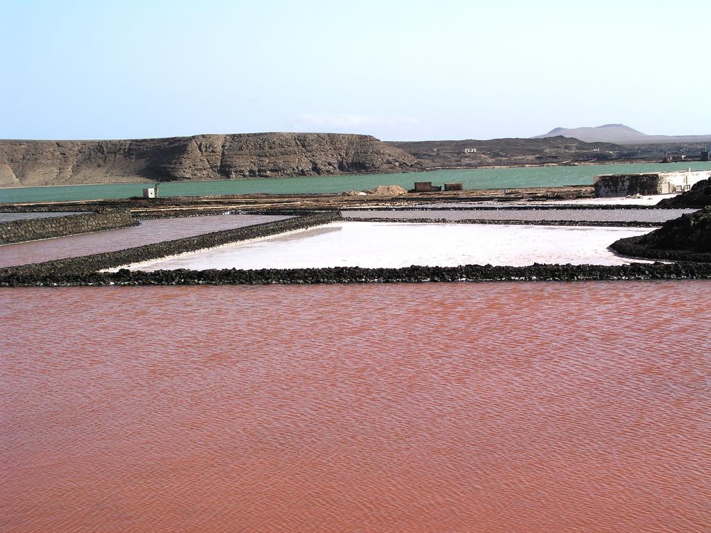 Finca El Oratorio Masdache Szoba fotó